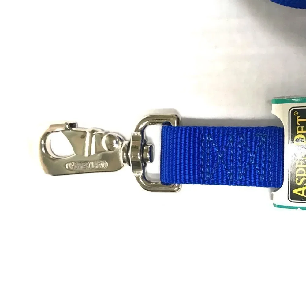 Aspen Pet blue nylon dog leash – large‎